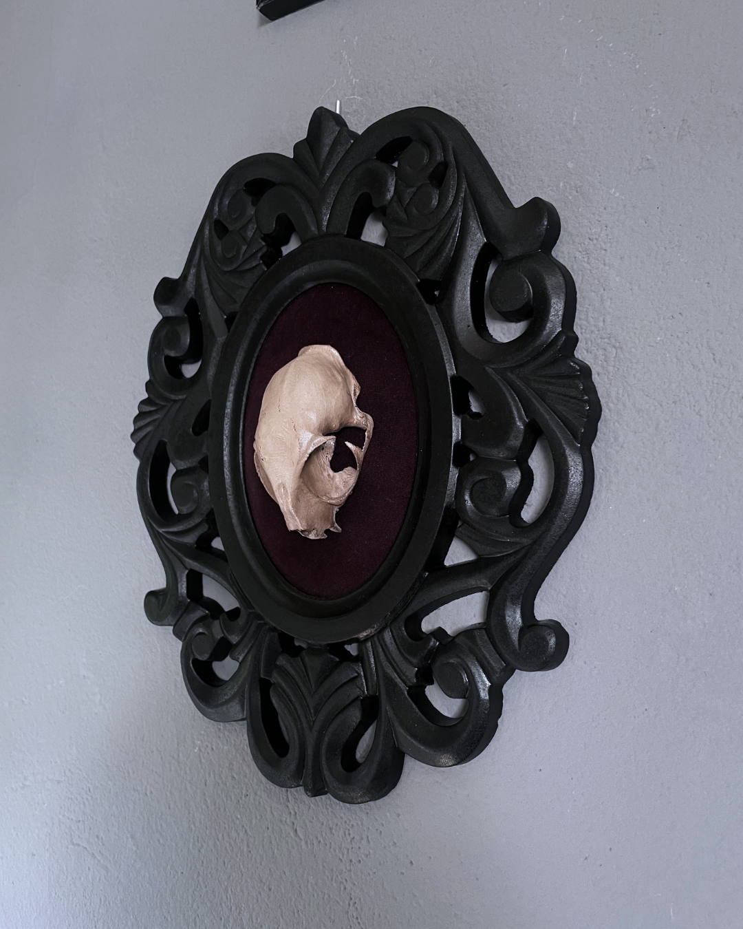 Specimen Relic: Feral Remains