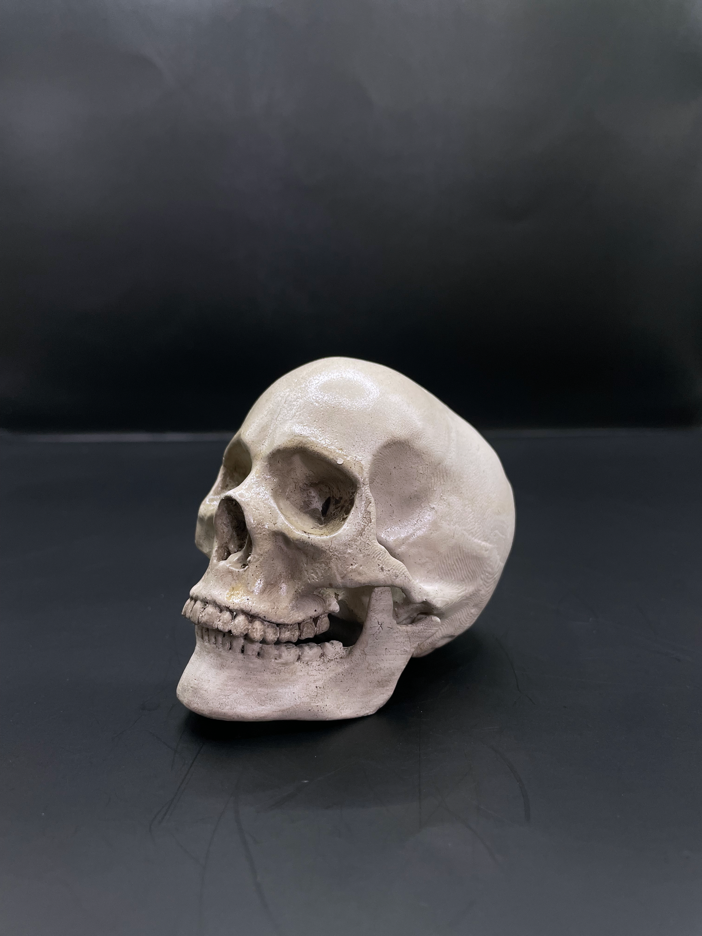 Human skull 3D Replica