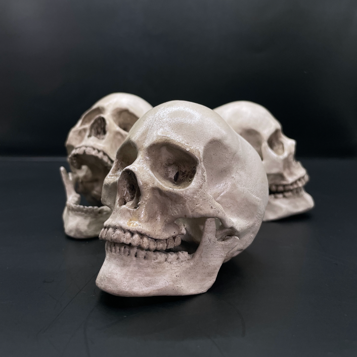 Skulls