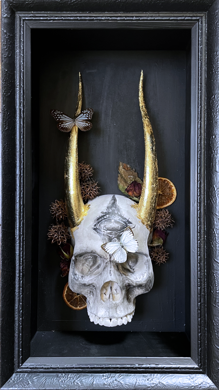 Memento Mori IV
