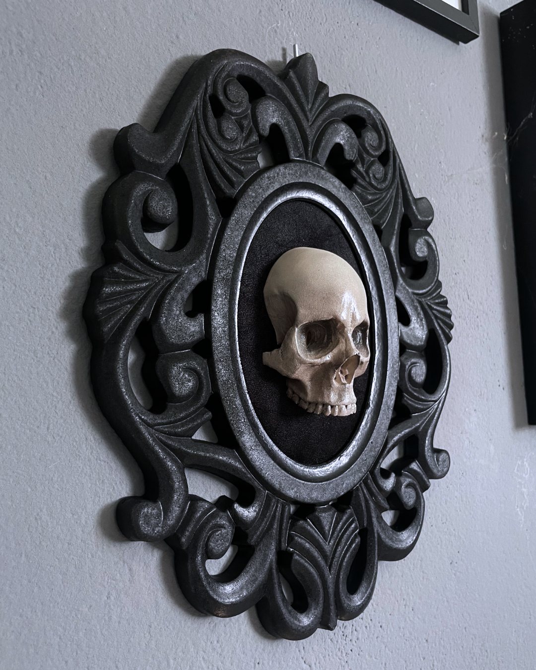 Specimen Relic: Human Form