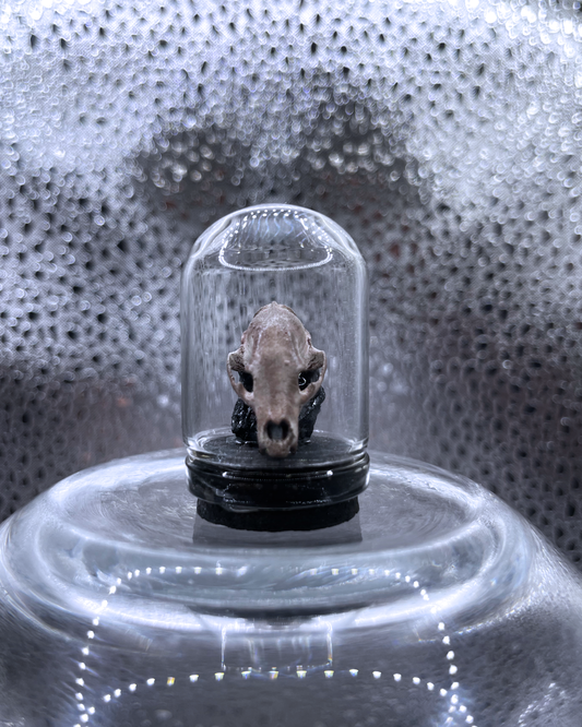 Mini Relic Dome: Feral Fragment