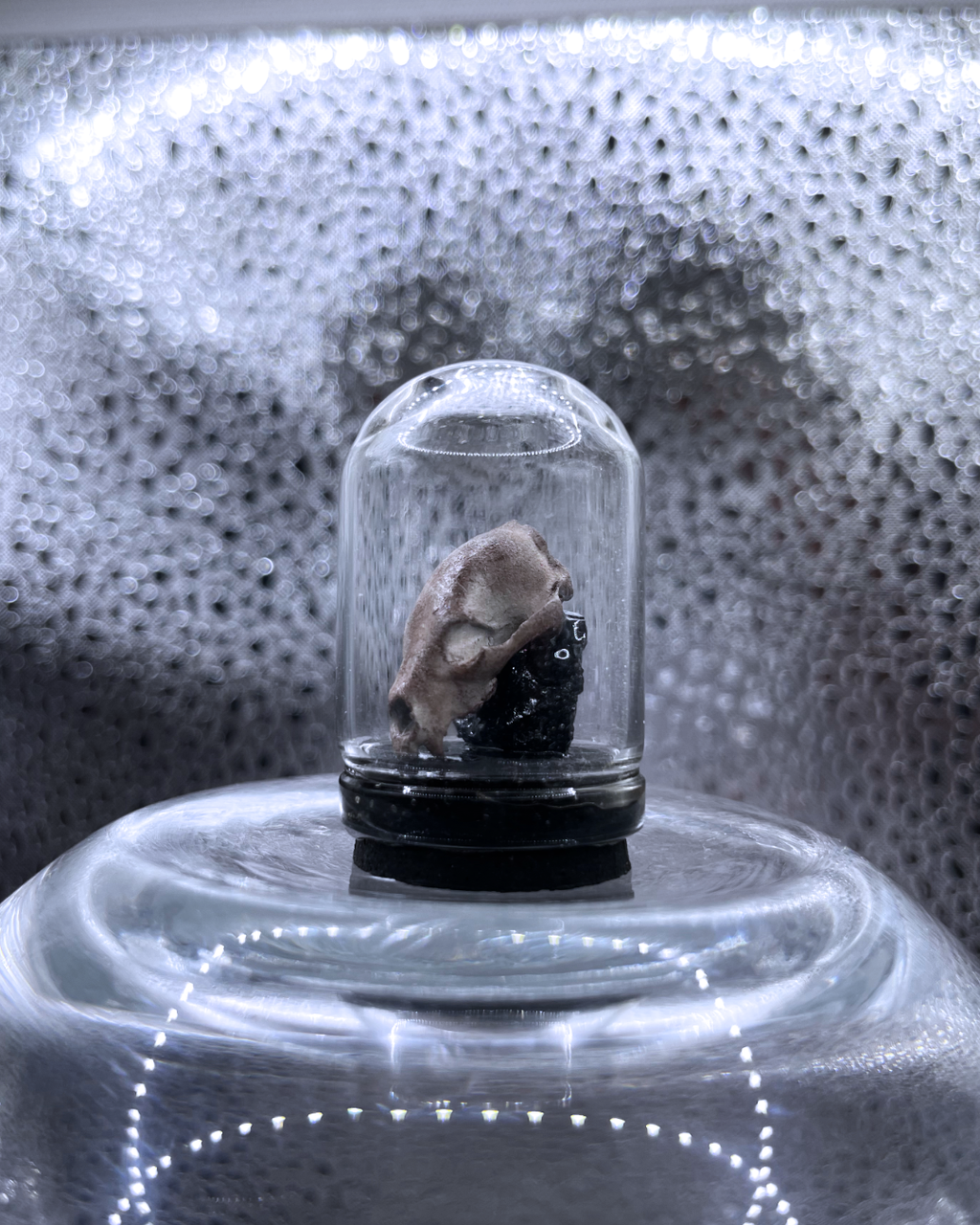 Mini Relic Dome: Feral Fragment
