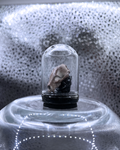 Mini Relic Dome: Feral Fragment