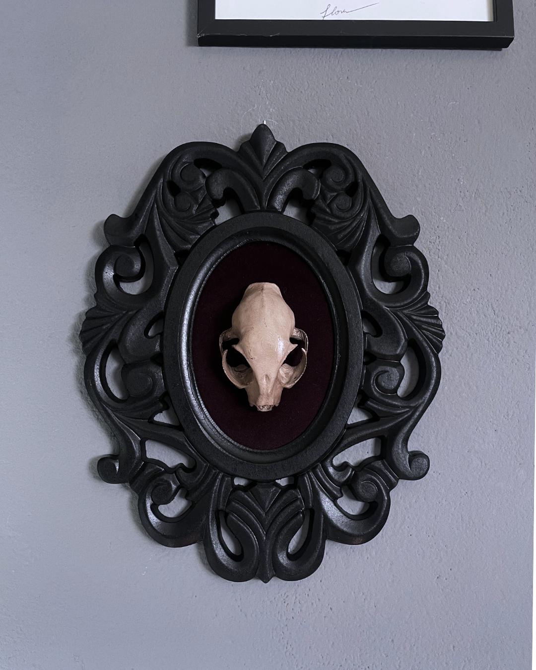 Specimen Relic: Feral Remains