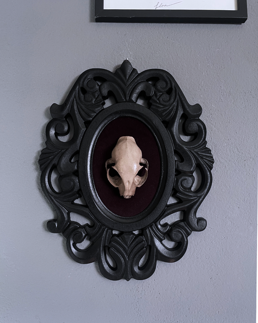 Specimen Relic: Feral Remains