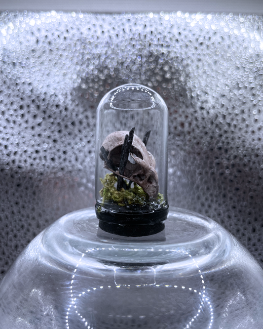 Mini Relic Dome: Pierced Memory