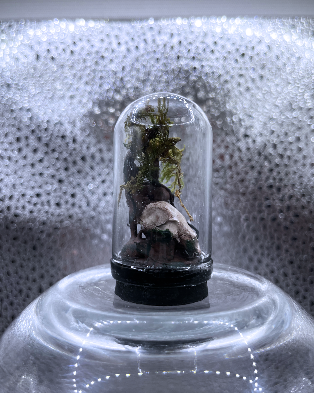 Mini Relic Dome: Growth Over Remains