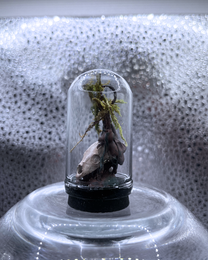 Mini Relic Dome: Growth Over Remains