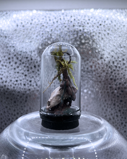 Mini Relic Dome: Growth Over Remains