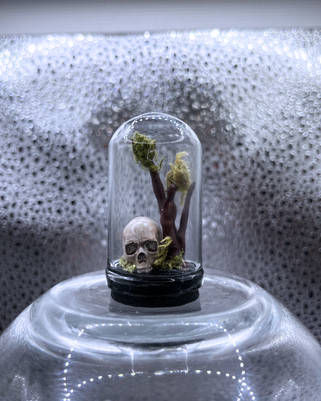 Mini Relic Dome: Rooted Skull