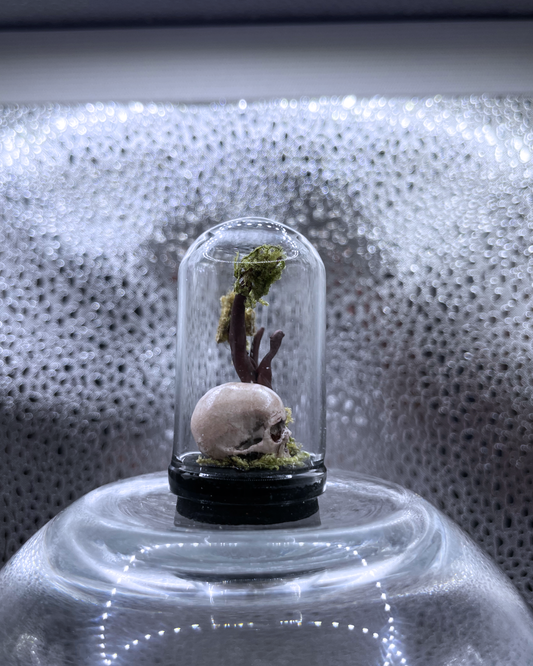 Mini Relic Dome: Rooted Skull