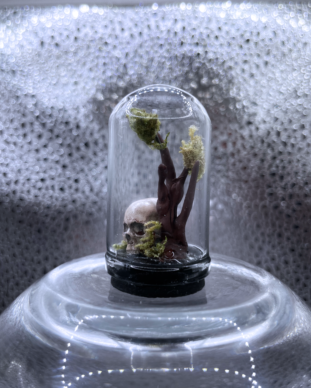 Mini Relic Dome: Rooted Skull