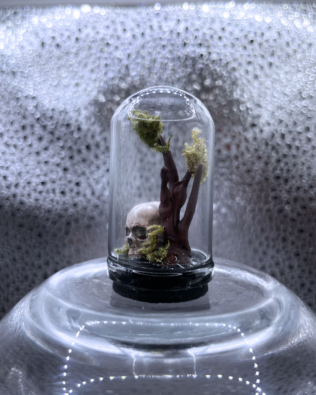 Mini Relic Dome: Rooted Skull
