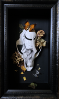 Memento Mori III