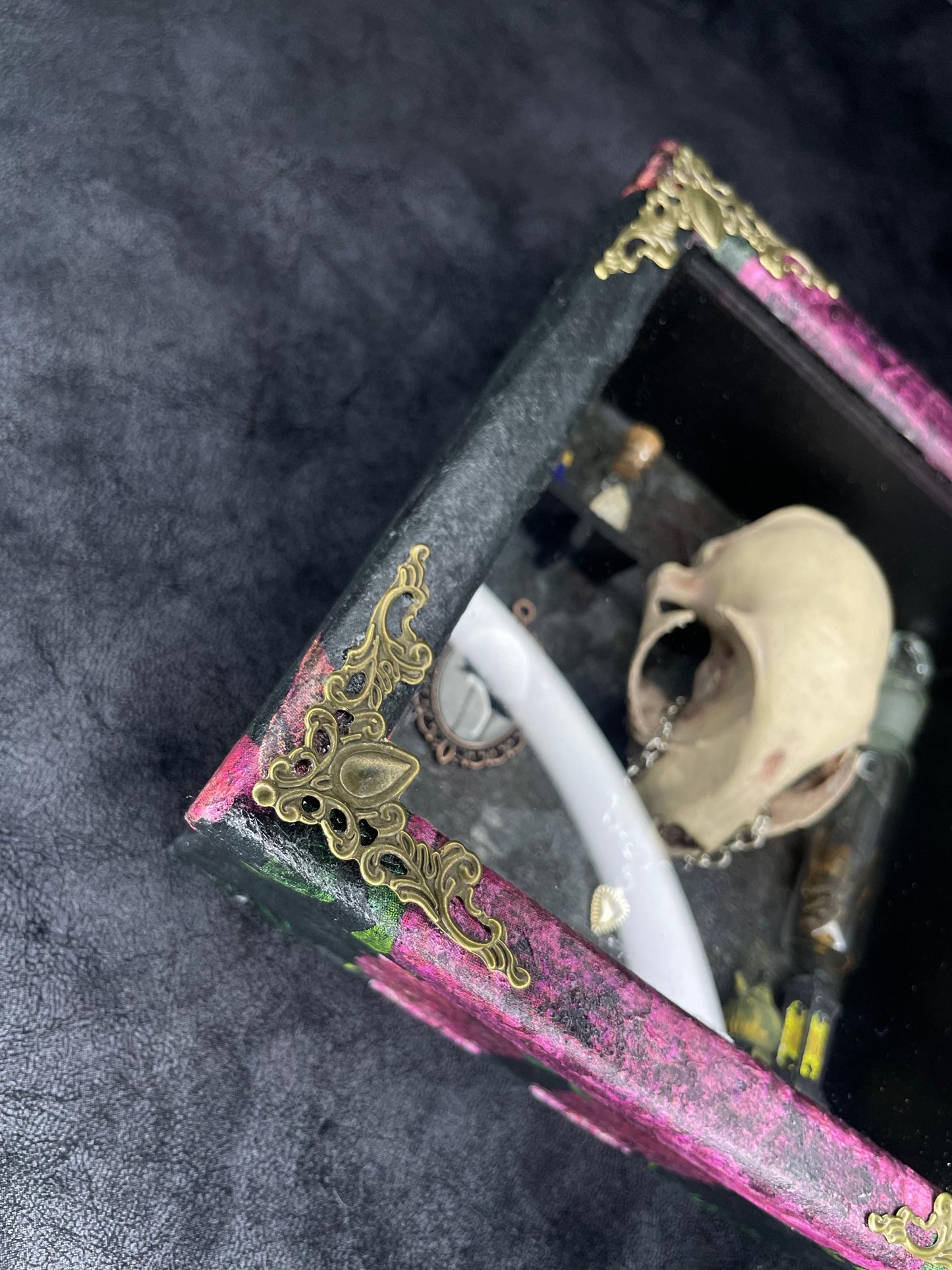 The Old Bobcat, Cabinet of Curiosities