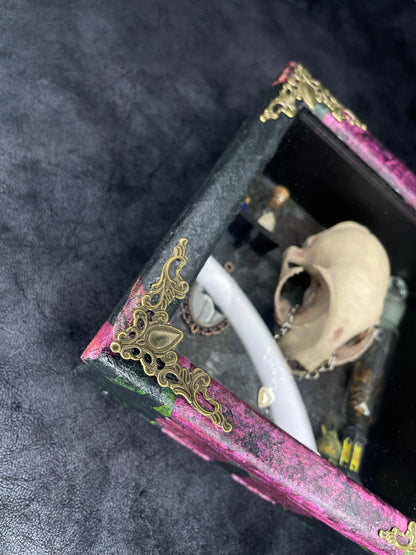 The Old Bobcat, Cabinet of Curiosities