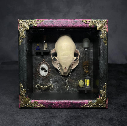 The Old Bobcat, Cabinet of Curiosities