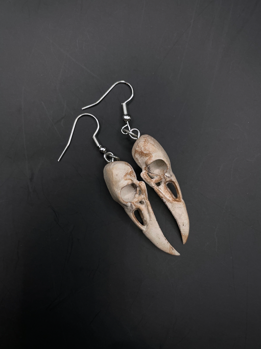 Bare Bones Earrings