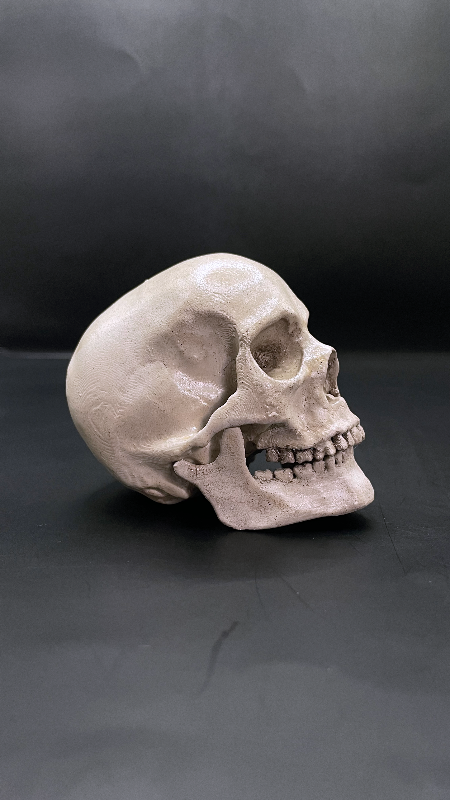 Human skull 3D Replica