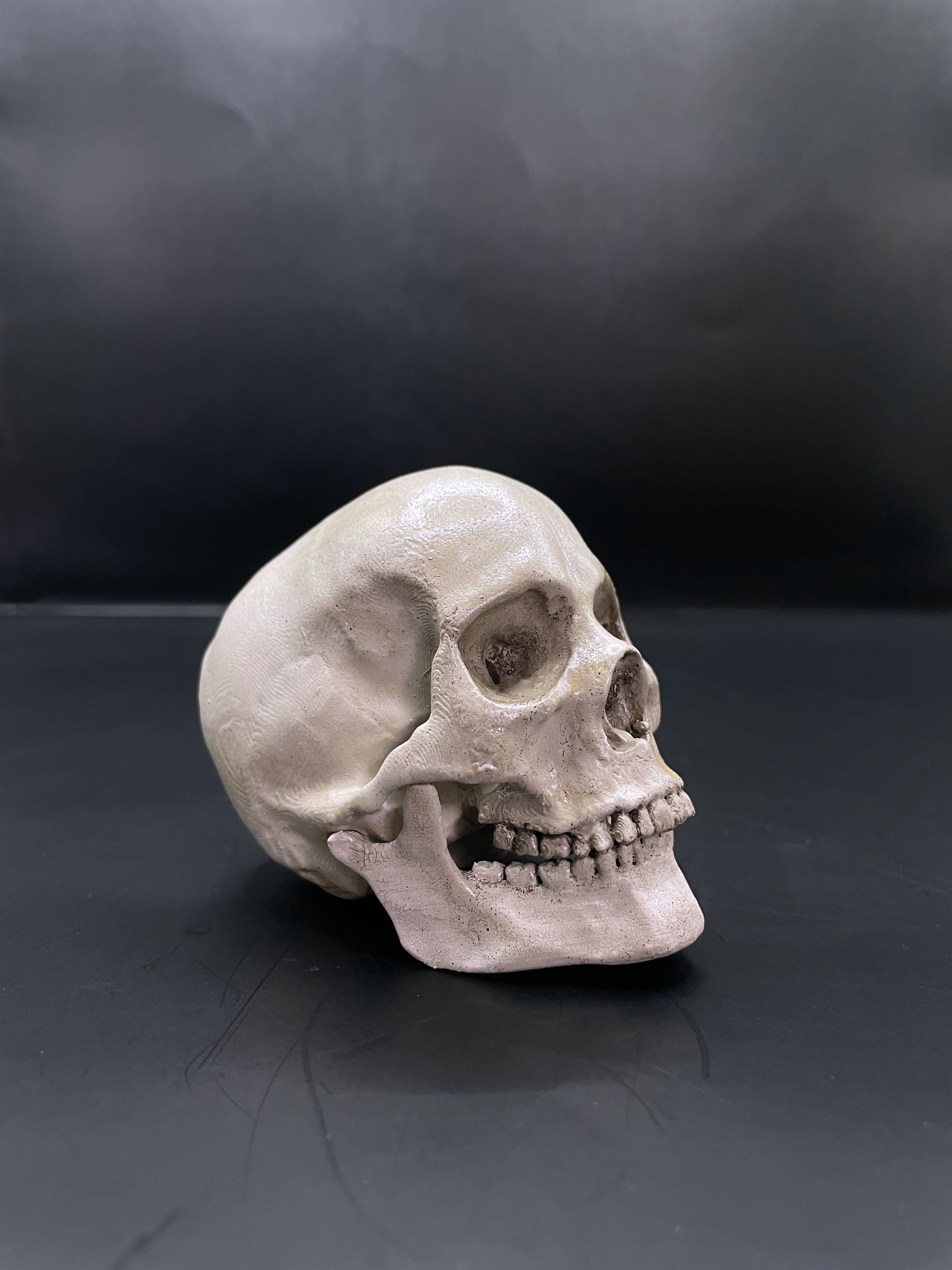 Human skull 3D Replica