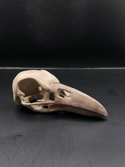 Raven skull 3D Replica
