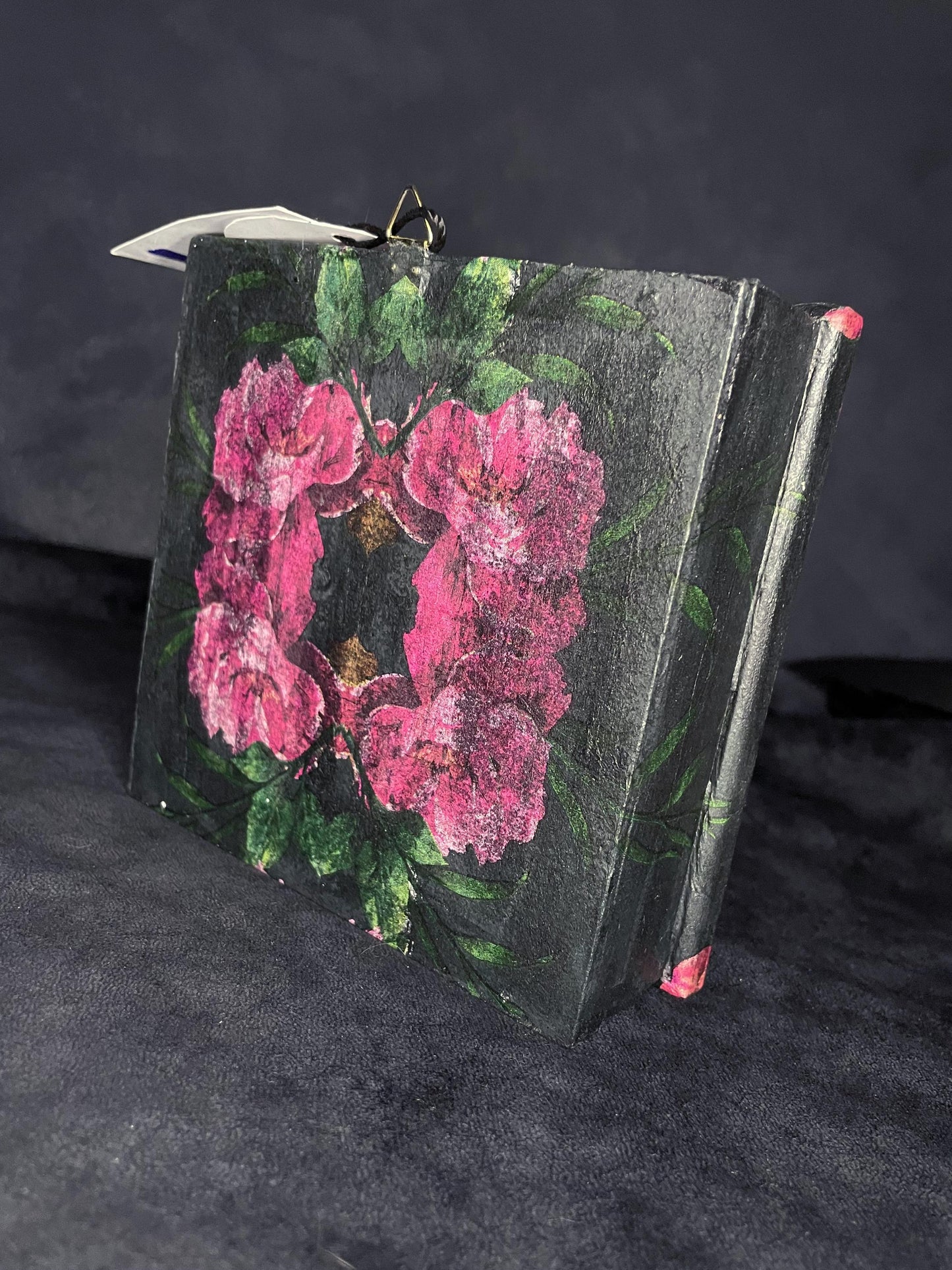 The Old Bobcat, Cabinet of Curiosities